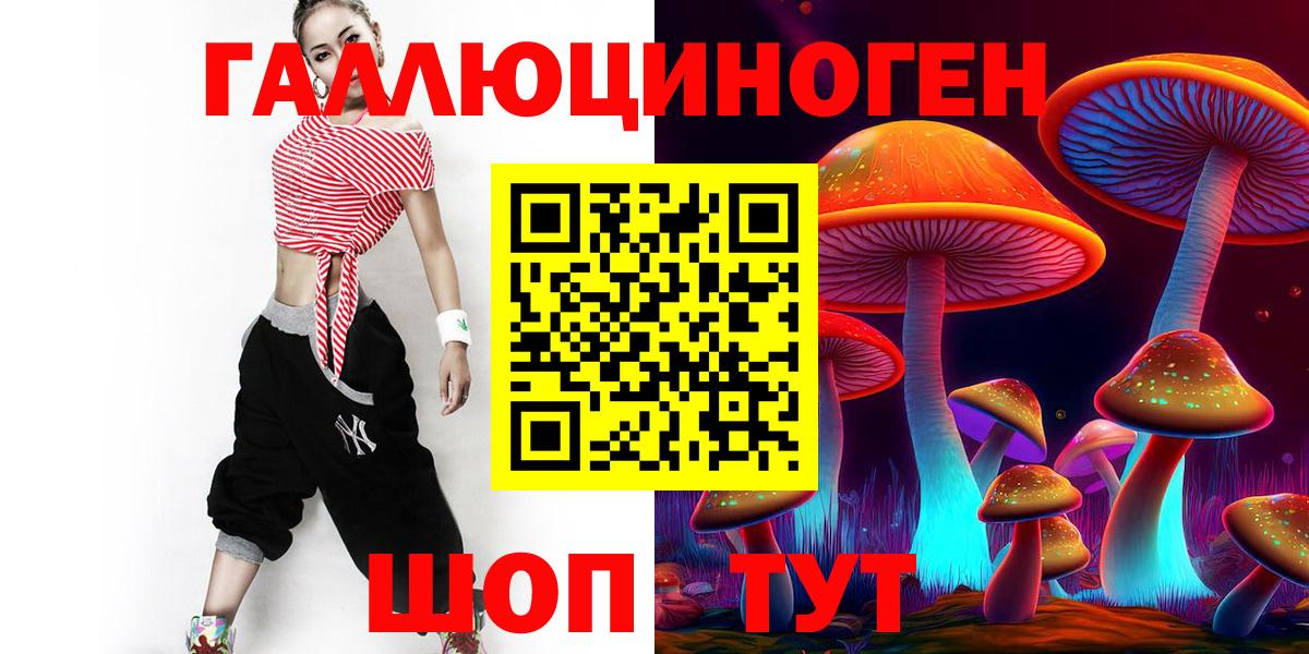 Псилоцибиновые грибы Cubensis Ртищево