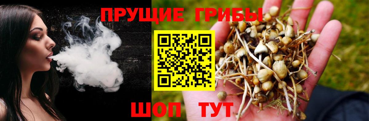 продажа наркотиков  Галлюциногенные грибы Psilocybine cubensis  Вход с VPN  Ртищево 