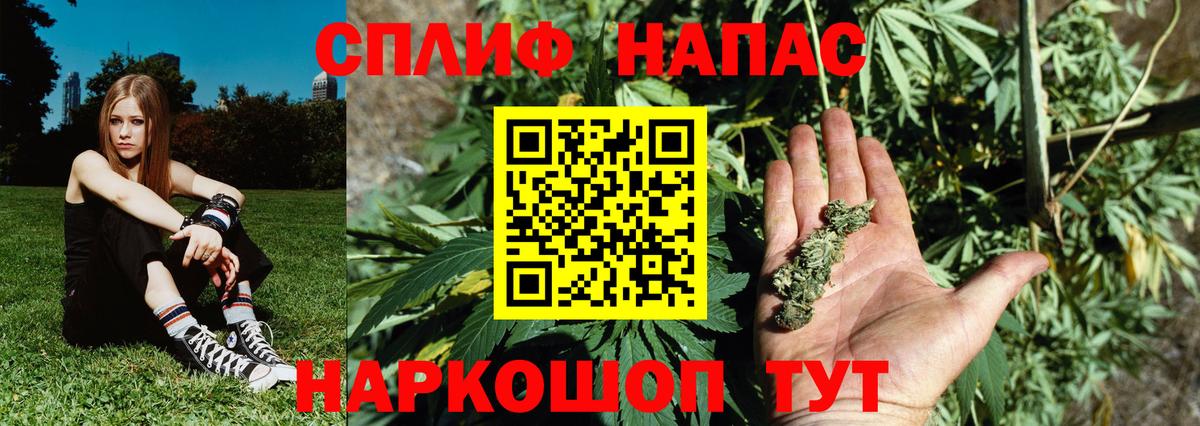 Шишки марихуана марихуана  Вход с VPN  Ртищево  Конопля сатива 